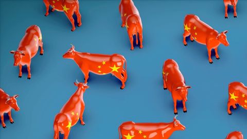 Le prix des bovins a atteint un niveau record en Chine durant l'année 2020 (©Pixabay) Le prix des bovins a atteint un niveau record en Chine durant l'année 2020 (©Pixabay)