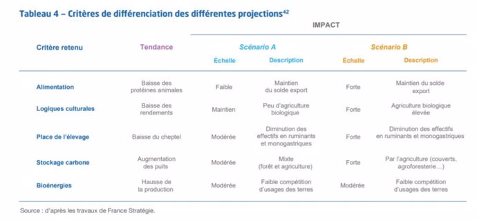 Critères de différenciation des différentes projections