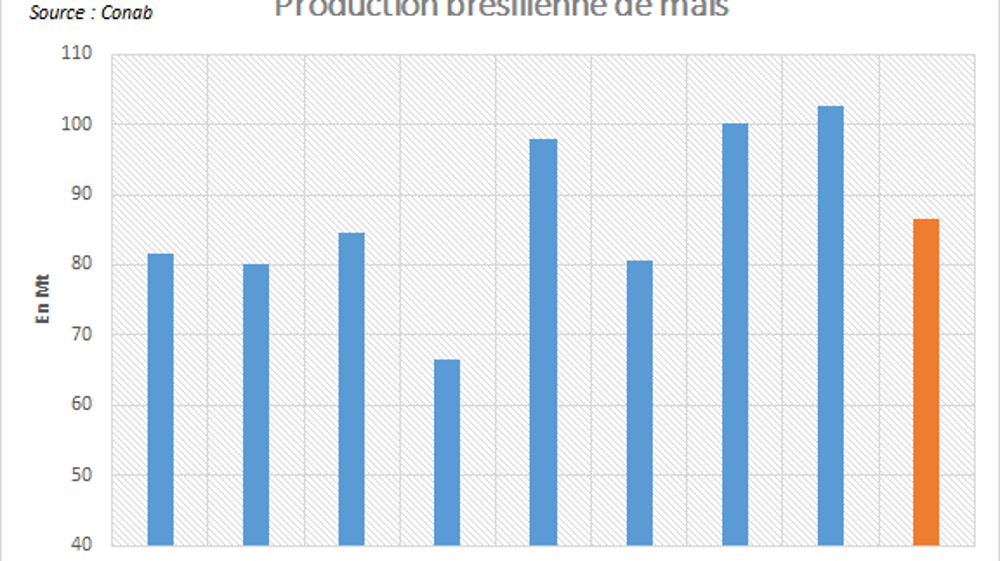 Production brésilienne de maïs.