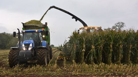 Les ensileuses sont déjà de sortie par endroits Les ensileuses sont déjà de sortie par endroits