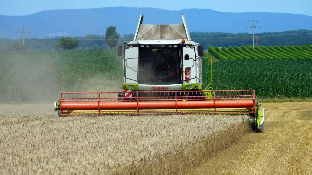 Le volume mondial de grain récolté serait en hausse de 3 % par rapport à l'an dernier (©Pixabay)