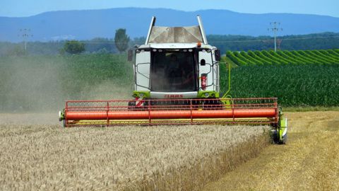 Le volume mondial de grain récolté serait en hausse de 3 % par rapport à l'an dernier (©Pixabay) Le volume mondial de grain récolté serait en hausse de 3 % par rapport à l'an dernier (©Pixabay)