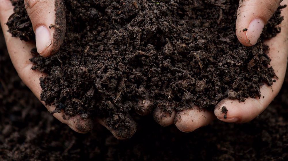 Le programme de rémunération de Soil Capital permet à l'agriculteur de gagner minimum 27,5 € par tonne de carbone stockée ou évitée. (©Soil Capital)