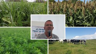 « Luzerne, sorgho, semis sous couvert… j’expérimente pour m’adapter au climat » « Luzerne, sorgho, semis sous couvert… j’expérimente pour m’adapter au climat »