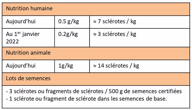 Seuil maximum de contamination par les sclérotes
