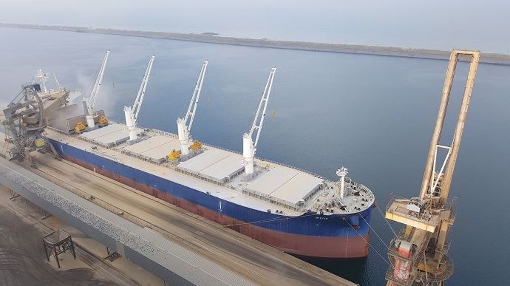   En blé, les inspections américaines à l'export « se stabilisent à 563 400 t », en hausse comparé à la semaine précédente, et « le maïs rebondit » à 403 100 t, indique le cabinet Inter-Courtage. (©Terre-net Média)