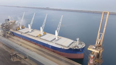 En blé, les inspections américaines à l'export « se stabilisent à 563 400 t », en hausse comparé à la semaine précédente, et « le maïs rebondit » à 403 100 t, indique le cabinet Inter-Courtage. (©Terre-net Média) En blé, les inspections américaines à l'export « se stabilisent à 563 400 t », en hausse comparé à la semaine précédente, et « le maïs rebondit » à 403 100 t, indique le cabinet Inter-Courtage. (©Terre-net Média)