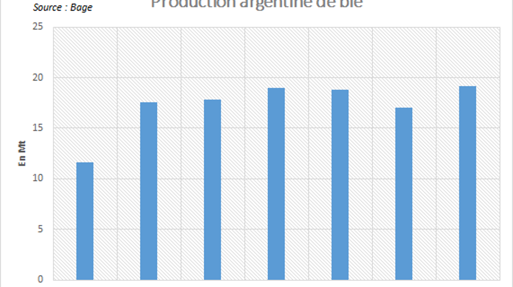 Production argentine de blé.