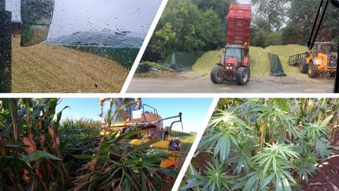 Les chantiers d'ensilage (et leur lot de surprises) partagés par les agris Les chantiers d'ensilage (et leur lot de surprises) partagés par les agris