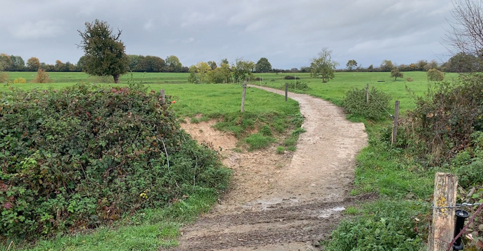 Chemins d'accès au pâturage