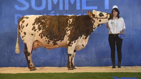 Macumba remporte le concours normand Macumba remporte le concours normand