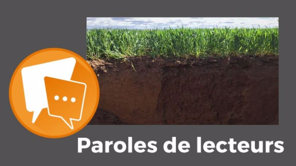  « Les plantes à grains sont beaucoup plus exportatrices de phosphore que les autres », explique Richard Dambrine. (©Terre-net Média)