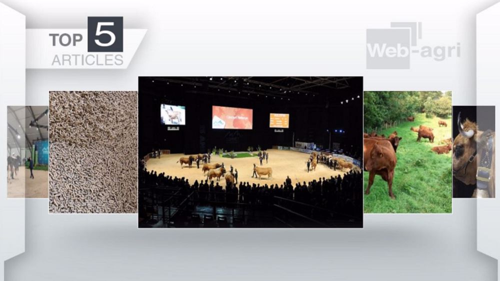 Articles les plus lus sur Web-agri cette semaine. (©Terre-net Média)