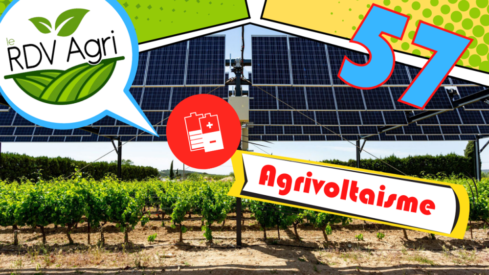 La rentabilité des projets photovoltaïques est-elle toujours au rendez-vous en agriculture ? (©Sophie Sof)
