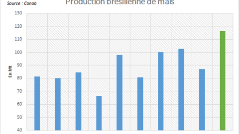 Production brésilienne de maïs. Production brésilienne de maïs.