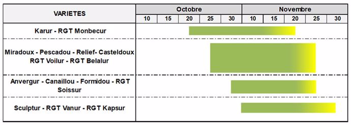 Plages de semis optimales pour les variétés principalement cultivées en Berry – Sud Loire