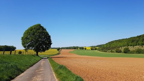 Attention à l'agrandissement des surfaces sans autorisation d'exploiter ! (©Terre-net Média)