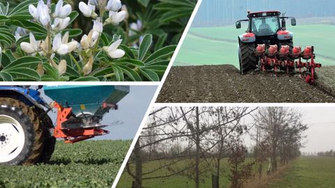 Quelles pratiques favoriser pour améliorer l'empreinte carbone du secteur agricole ? (©Terre-net Média/Pixabay) Quelles pratiques favoriser pour améliorer l'empreinte carbone du secteur agricole ? (©Terre-net Média/Pixabay)