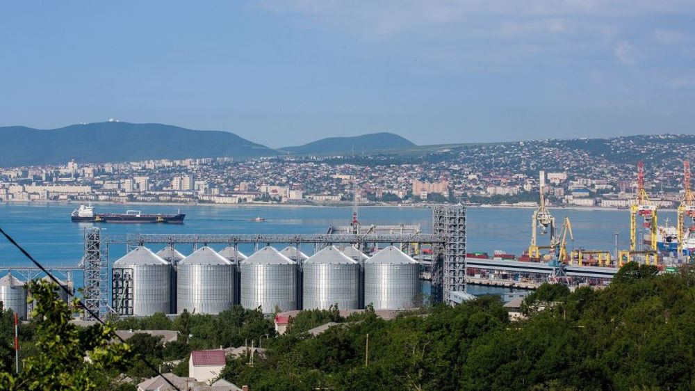 La Russie aurait exporté 14,7 millions de tonnes de blé au 21 octobre. (©Pixabay)