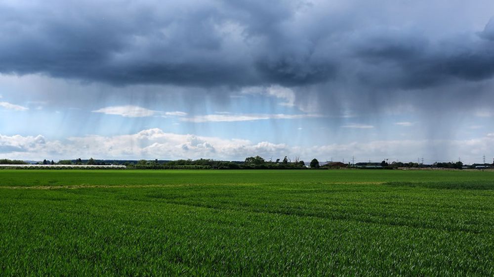 Les pluies balayent la France et favorisent le bon départ des cultures d'hiver. (©Pixabay)