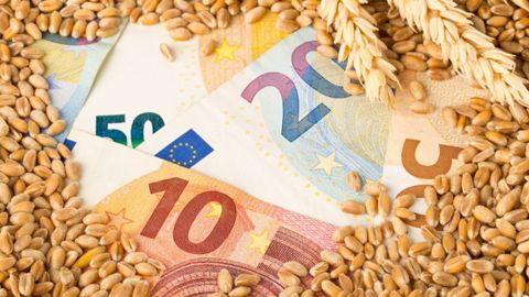 Bon nombre d'agriculteurs expliquent ne pas avoir pu tirer parti des hauts niveaux de prix du blé tendre (©AdobeStock)