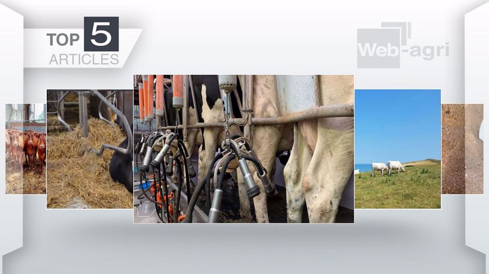 Top articles de Web-agri cette semaine. (©Terre-net Média)