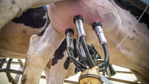 « Un risque fort de compression des marges » « Un risque fort de compression des marges »