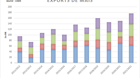 Exportations de maïs des grands producteurs.