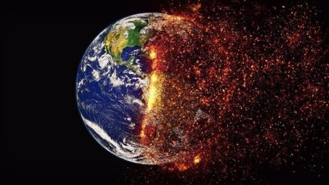 Certaines décisions de la COP26 concernent l'agriculture. (©Pixabay)