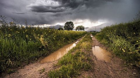 De fortes pluies ont touché l'est de l'Australie la semaine passée, et les prévisions en annoncent de nouvelles. (©Pixabay)