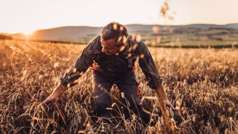 Pour une culture du rendement et de l’environnement 