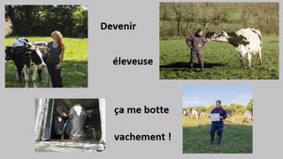 Pour Morgane, « une ferme, c'est une entreprise où les collègues sont des vaches » ! (©Morgane Guillouroux // Création Terre-net Média) Pour Morgane, « une ferme, c'est une entreprise où les collègues sont des vaches » ! (©Morgane Guillouroux // Création Terre-net Média)