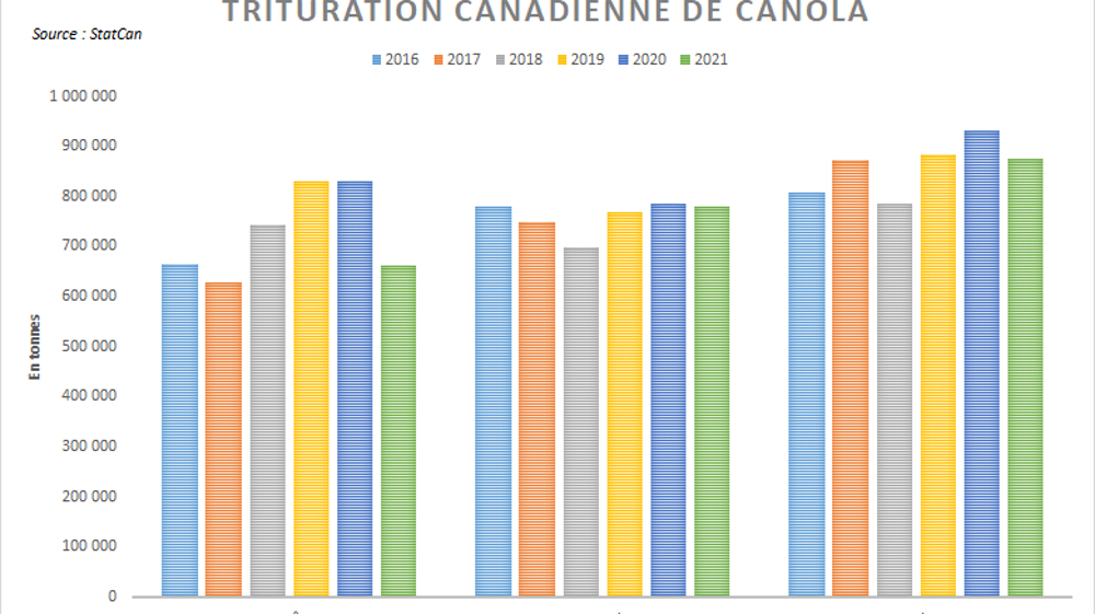 Trituration canadienne de canola.