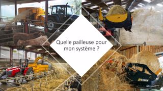Pensez organisation, place dans le bâtiment et temps de travail pour bien choisir votre modèle de pailleuse. (©Terre-net Média) Pensez organisation, place dans le bâtiment et temps de travail pour bien choisir votre modèle de pailleuse. (©Terre-net Média)
