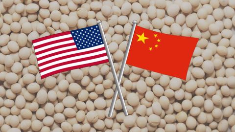 Sur la campagne de commercialisation en cours, les exportations de soja US vers la Chine pourraient être en baisse par rapport à la campagne précédente (©Pixabay, montage Terre-net Média) Sur la campagne de commercialisation en cours, les exportations de soja US vers la Chine pourraient être en baisse par rapport à la campagne précédente (©Pixabay, montage Terre-net Média)