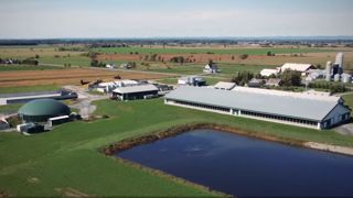 « À 500 €/1 000 l, le lait est notre première source de revenu » « À 500 €/1 000 l, le lait est notre première source de revenu »