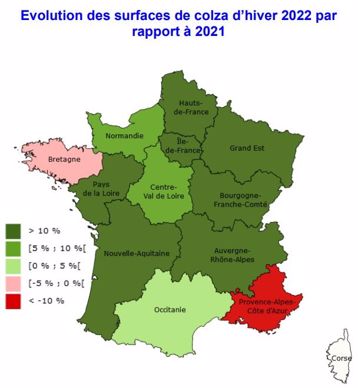 Évolution des surfaces de colza d'hiver 2022 par rapport à 2021, selon les régions.