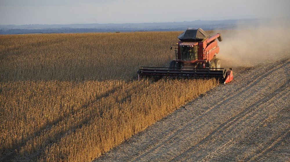  « La maîtrise de la date de semis et le<strong> </strong>choix variétal constituent deux éléments cruciaux pour sécuriser la récolte. » (©Terre-net Média)