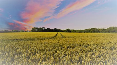 De nouvelles règles s’appliquent depuis le 1er janvier 2022