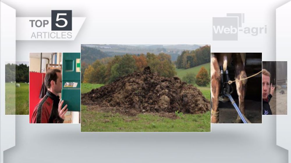 Articles les plus lus sur Web-agri cette semaine. (©Terre-net Média)