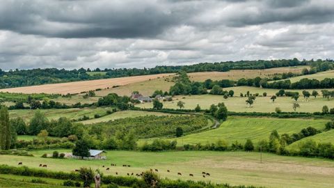 Super U finance la plantation de haies dans les fermes des Pays de la Loire