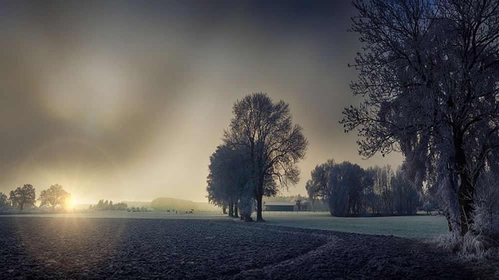 Les températures hivernales arrivent en France. (©Pixabay)