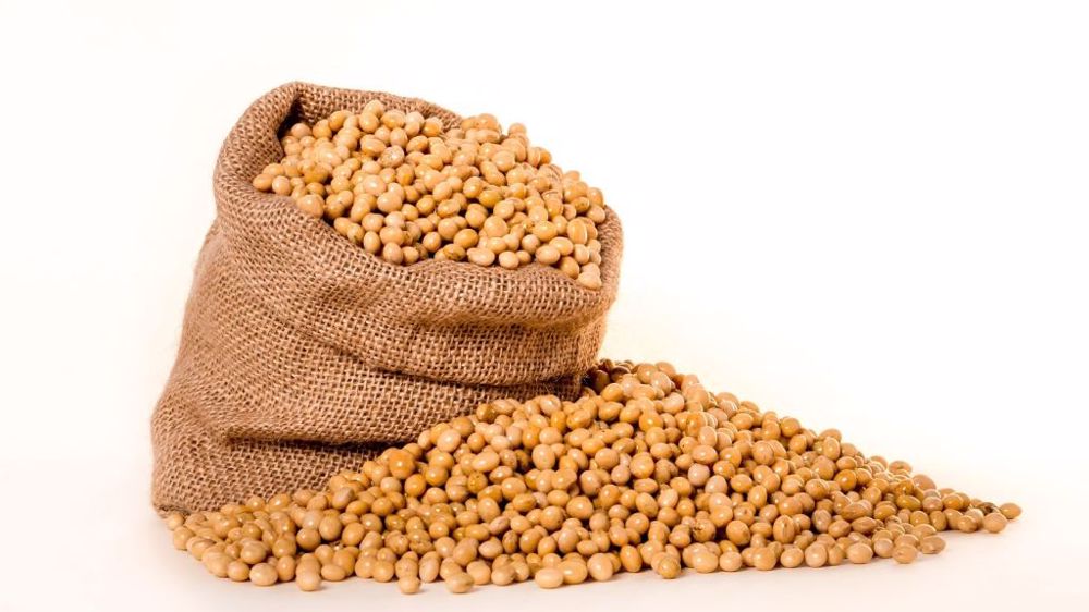 Le Conseil international des céréales estime la production mondiale de soja à 368 Mt sur 2021/22 (©Pixabay)