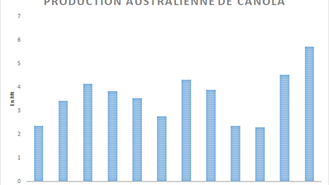 Production australienne de canola. Production australienne de canola.