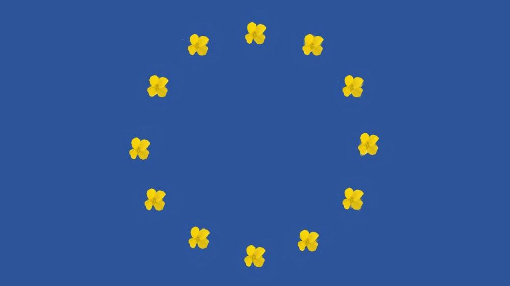 D'après les données de la Commission européenne, les surfaces en colza sont en hausse en 2022. (©Pixabay, montage Terre-net média)