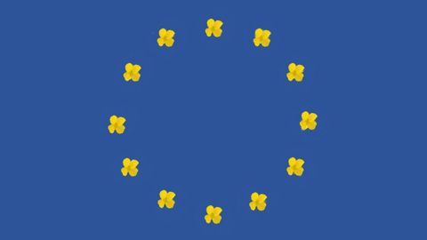 D'après les données de la Commission européenne, les surfaces en colza sont en hausse en 2022. (©Pixabay, montage Terre-net média) D'après les données de la Commission européenne, les surfaces en colza sont en hausse en 2022. (©Pixabay, montage Terre-net média)