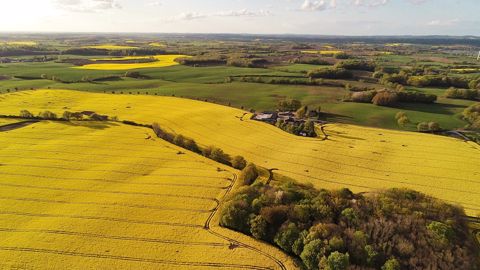 Agrosolutions, Noriap et RAGT Semences publient les résultats d'essais détaillés de leur plateforme agronomique commune, Secure colza, pour la campagne 2020/2021. (©Pixabay) Agrosolutions, Noriap et RAGT Semences publient les résultats d'essais détaillés de leur plateforme agronomique commune, Secure colza, pour la campagne 2020/2021. (©Pixabay)