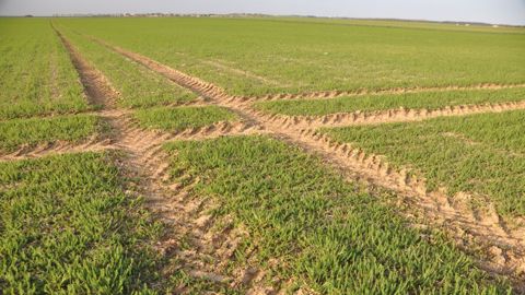 Une règle d’or à respecter : ne pas dépasser 17 t par essieu, car au-delà, le sol est compacté en profondeur (©Terre-net Média)