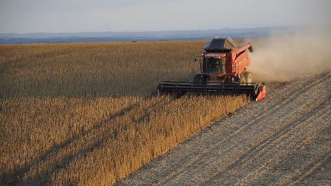 La production de soja en Amérique du Sud devrait finalement être moins importante que prévu. (©CC)