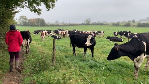 Biolait, Ingredia et Ethiquable créent la première filière lait en poudre bio pour le chocolat. (©Terre-net Média) Biolait, Ingredia et Ethiquable créent la première filière lait en poudre bio pour le chocolat. (©Terre-net Média)